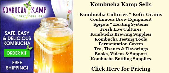 Kombucha Brew Now Jar Kit - exclusively from Kombucha Kamp