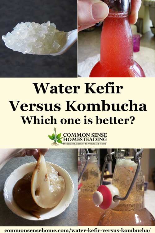 Water Kefir versus Kombucha - Comparison of water kefir and kombucha, their microorganisms, flavors, brewing techniques and effects in the body.