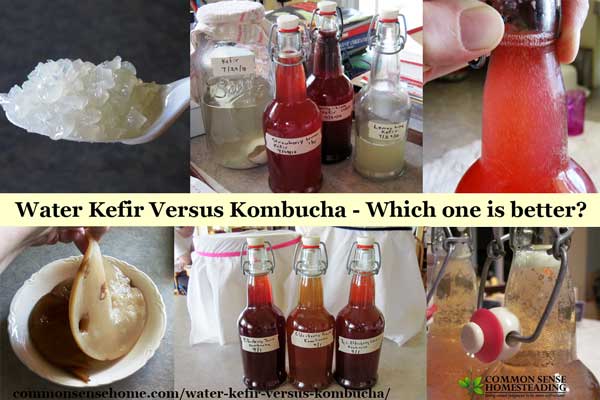 Water Kefir versus Kombucha - Comparison of water kefir and kombucha, their microorganisms, flavors, brewing techniques and effects in the body.