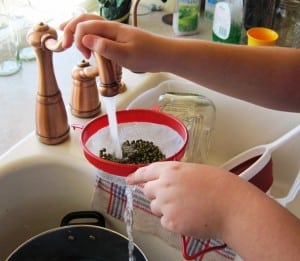 Rinsing seeds for sprouts