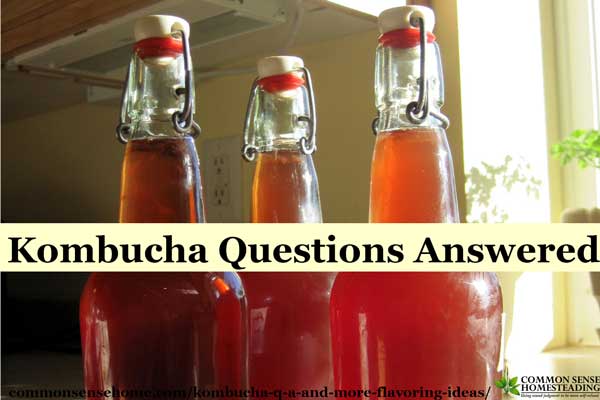 Answers to common kombucha questions from readers including kombucha storage, flavoring and avoiding kombucha explosions.