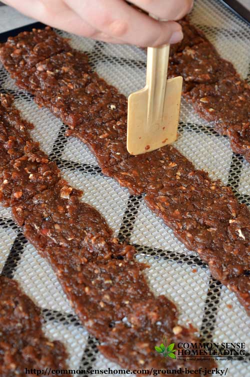 Save money by making your own homemade ground beef jerky. Ground beef jerky is less expensive, easier to make and easier to chew