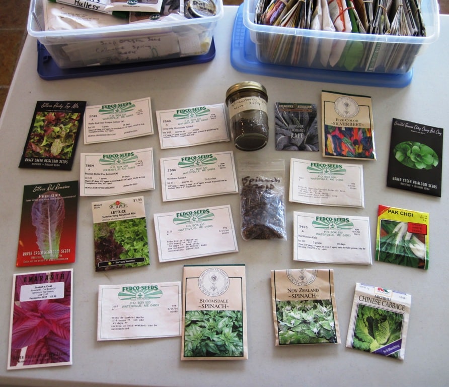 Early Greens from the Garden - Common Sense Homesteading