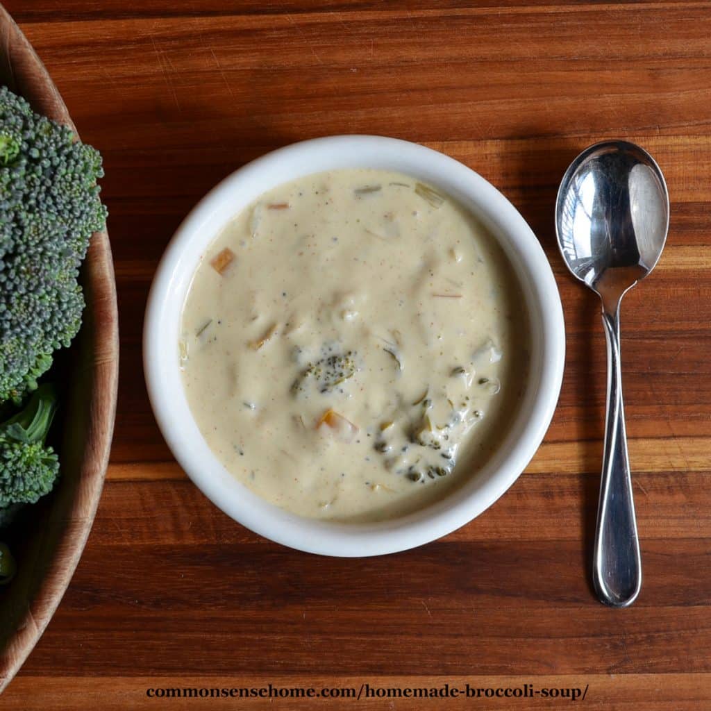 bowl of broccoli soup, with spoon on right, broccoli on left