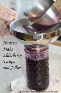 How to Make Elderberry Syrups and Jellies