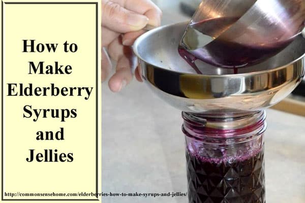 10 Easy Herbal Gifts to Enjoy Now, Plus One Gift That Lasts All Year Long - How to Make Elderberry Syrups and Jellies with Fresh or Dried Elderberries