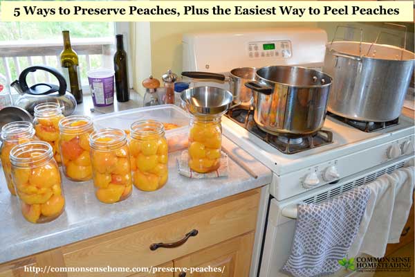 Different Tools And Equipment Needed In Food Preservation