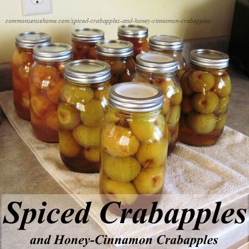 Making spiced crabapples and honey-cinnamon crabapples @ Common Sense Home