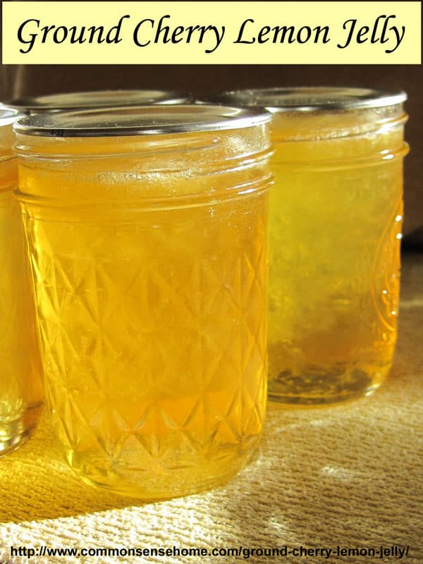 Ground cherry lemon jelly is made with ground cherries (husk tomatoes) and lemon juice for a jelly that tastes like a lemon drop. Great on toast with honey.