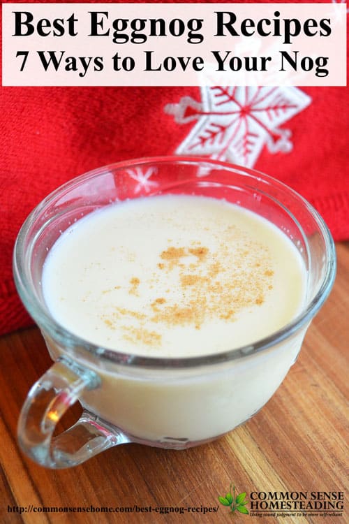 Best Eggnog Recipes - Create a family tradition and skip the preservatives with these easy homemade eggnog recipes.Traditional eggnogs, eggless and dairy-free
