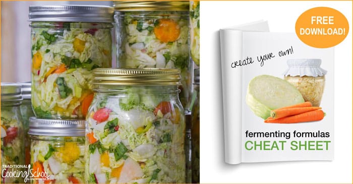 Preserving Freshness: The Basics of Food Preservation