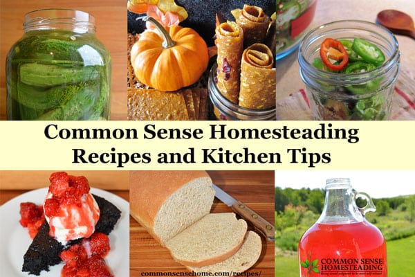 Common Sense Home Recipes and Kitchen Tips