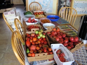 tomato-table