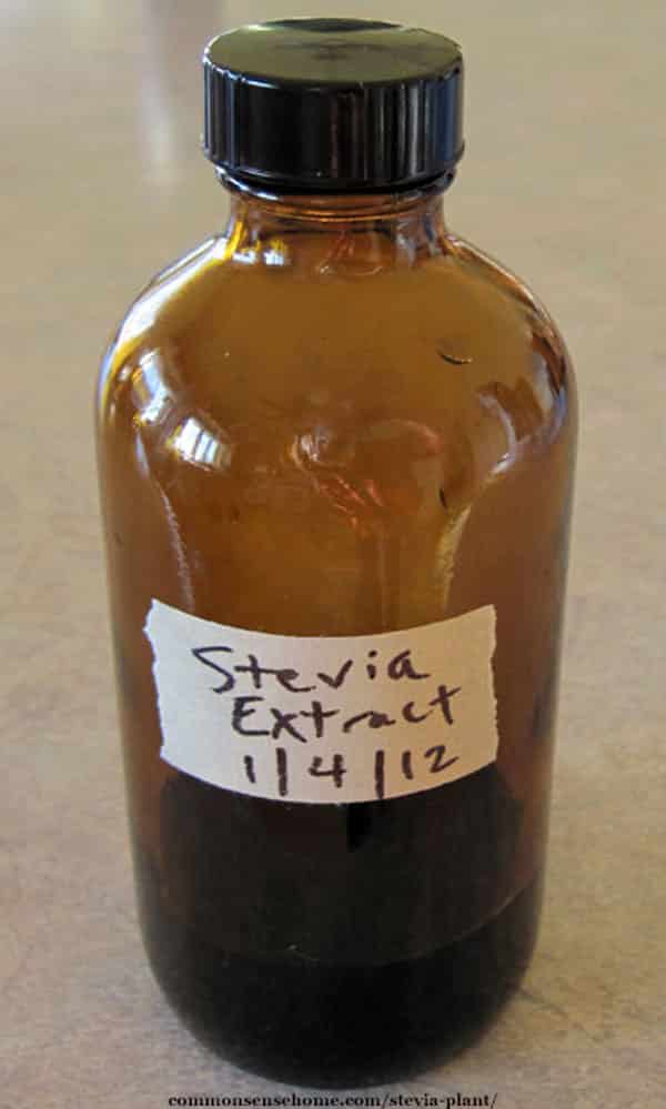 homemade stevia extract