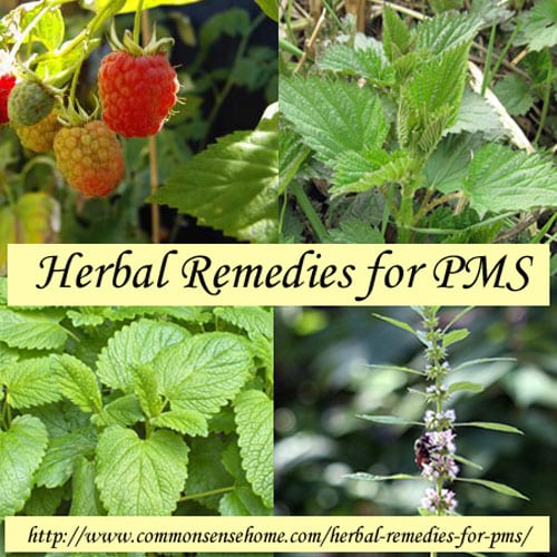 Herbal Remedies for PMS @ Common Sense Homsteading