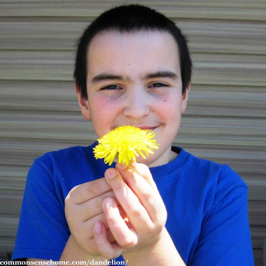 boy holding dandelion flower