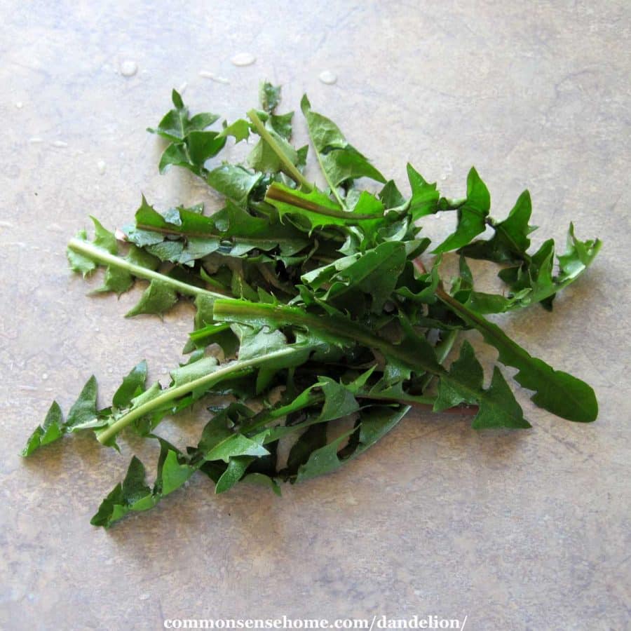 dandelion greens