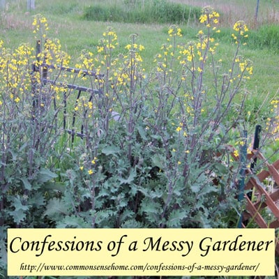 Confessions of a Messy Gardener - The editors of Better Homes and Gardens have a heart attack. Am I freaking out about this? Not really. Here's why.