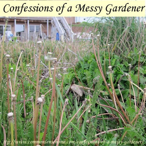 Confessions of a Messy Gardener - The editors of Better Homes and Gardens have a heart attack. Am I freaking out about this? Not really. Here's why.