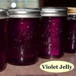 blue violet jelly