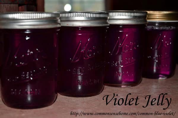 violet-jelly