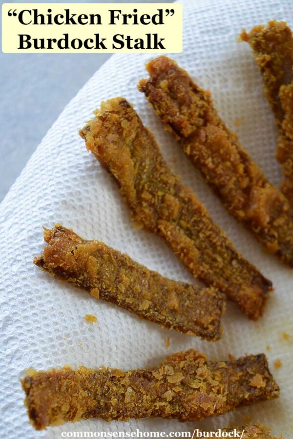 cooked burdock stalks