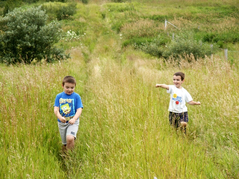 Boys Building an eco home