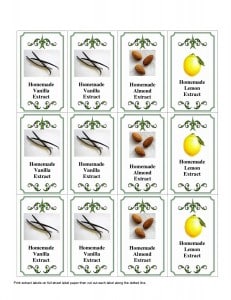 Printable Homemade Extract Labels