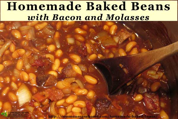 Our favorite homemade baked bean recipe is economical and delicious. It combines savory bacon and sweet molasses, slow cooked to perfection.