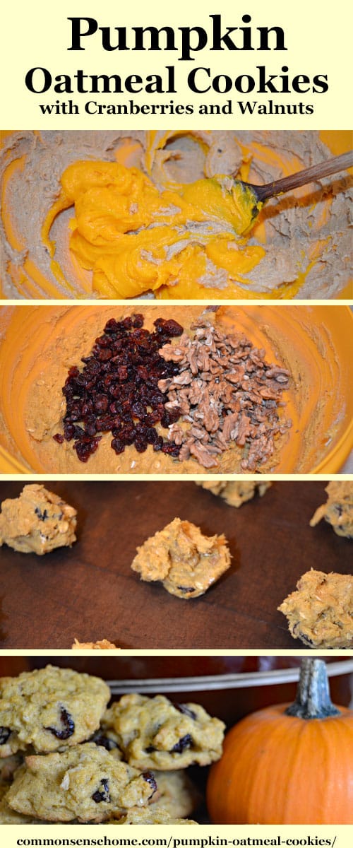 Pumpkin oatmeal cookies with cranberries and walnuts.