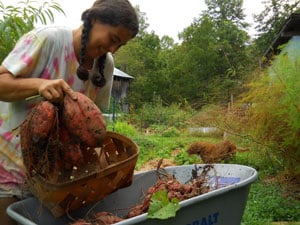 Anna Hess, author of The Weekend Homesteader