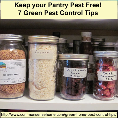 Green Home Pest Control Tips