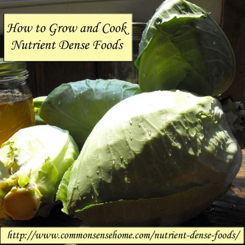 How to Grow and Cook Nutrient Dense Foods @ Common Sense Home