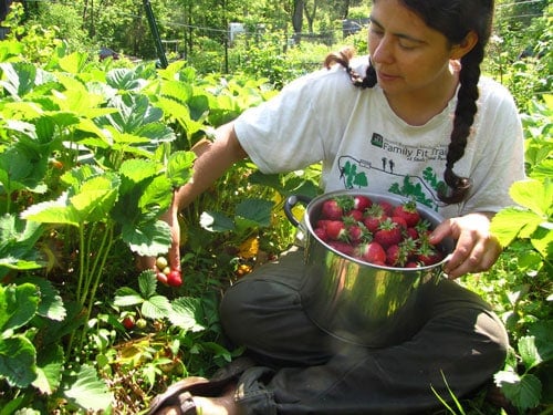 How to grow and cook nutrient dense foods