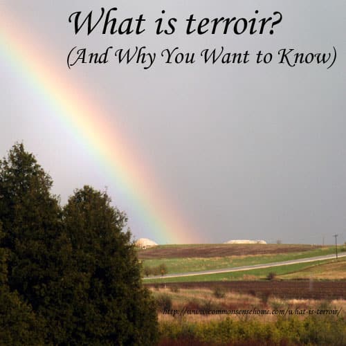 What is terroir?