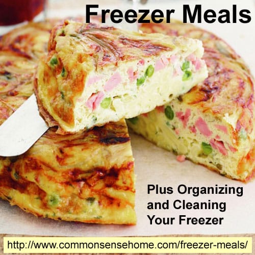 Freezer Meals Plus Organizing and Cleaning Your Freezer @ Common Sense Home