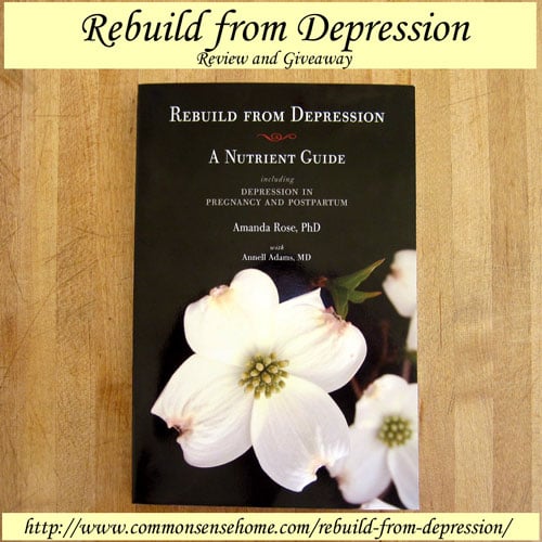 Rebuild from Depression – Review