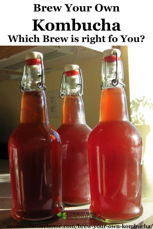 Brew Your Own Kombucha - Explanation of what kombucha is, how it tastes and how to make it; comparison of regular brewing versus continuous brewing.