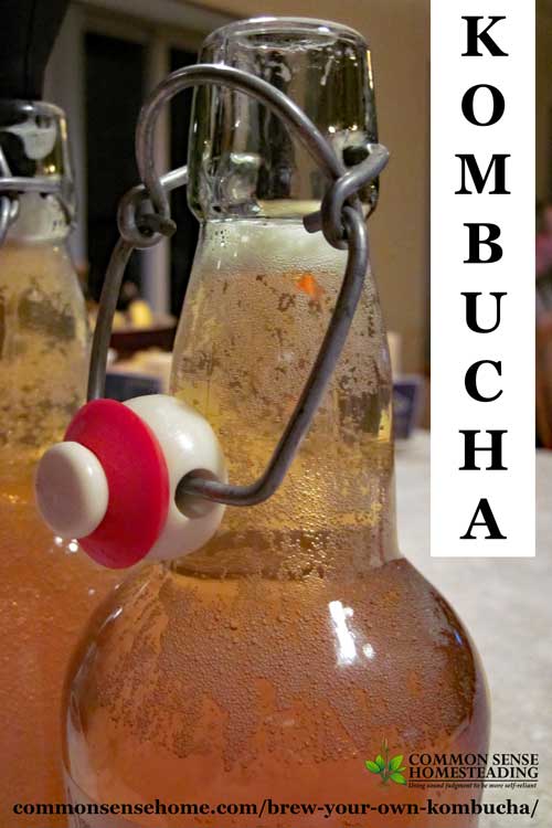 Brew Your Own Kombucha - Explanation of what kombucha is, how it tastes and how to make it; comparison of regular brewing versus continuous brewing.