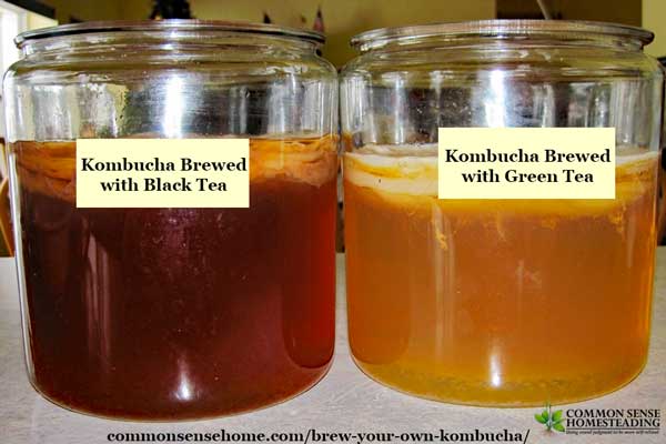 Brew Your Own Kombucha - Explanation of what kombucha is, how it tastes and how to make it; comparison of regular brewing versus continuous brewing.