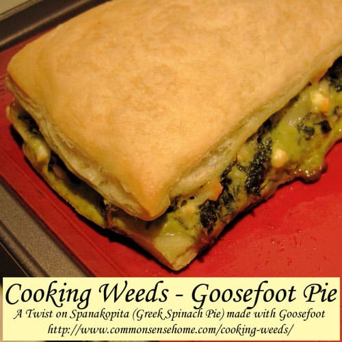 Cooking Weeds - Goosefoot Pie @ Common Sense Home