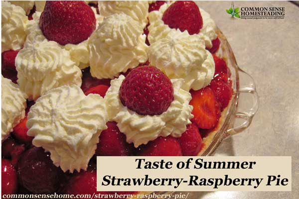 Strawberry-Raspberry Pie