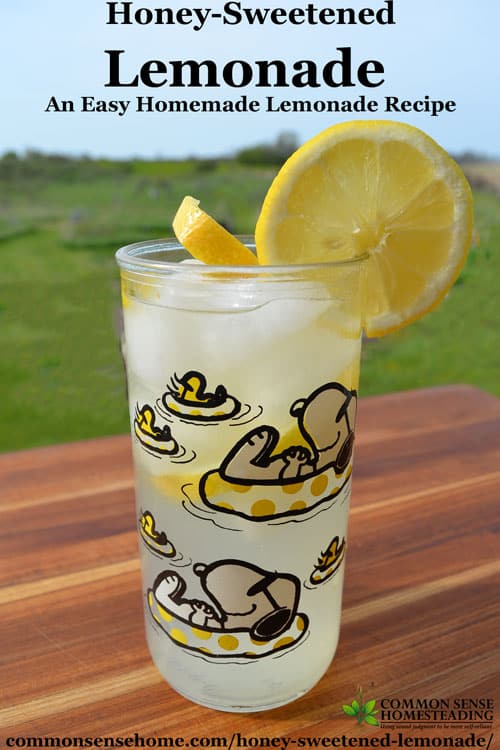 Easy Homemade Honey-Sweetened Lemonade recipe, plus tips on using lemon flavored herbs in lemonade and honey lemon ice cubes for tea or lemonade.