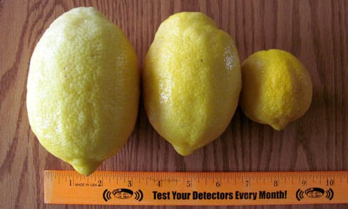 lemons