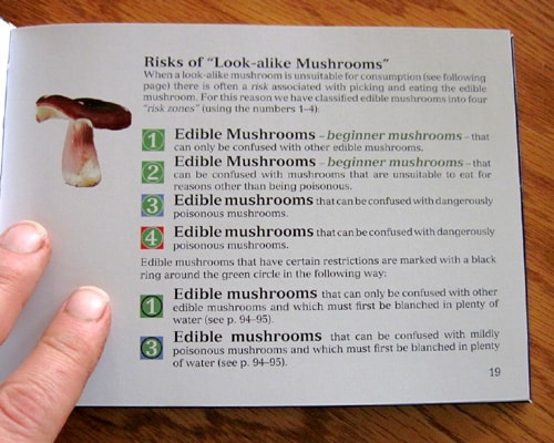 The Pocket Guide to Wild Mushrooms