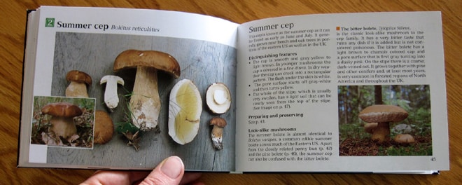 The Pocket Guide to Wild Mushrooms