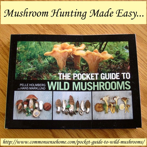 Edible Wild Plants and Mushrooms - Recipes and Guides