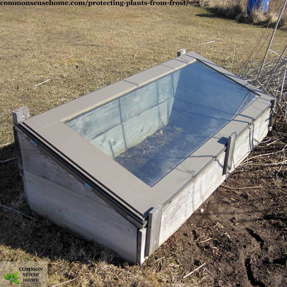 cold frame for frost protection