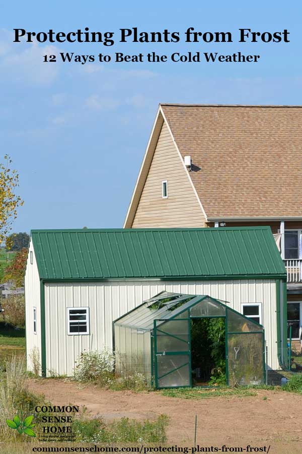 greenhouse with garden shed