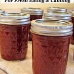 2 Homemade Ketchup Recipes - Home Canned ketchup and Lacto-Fermented Catsup - use your garden or farmers market tomatoes to make ketchup at home.